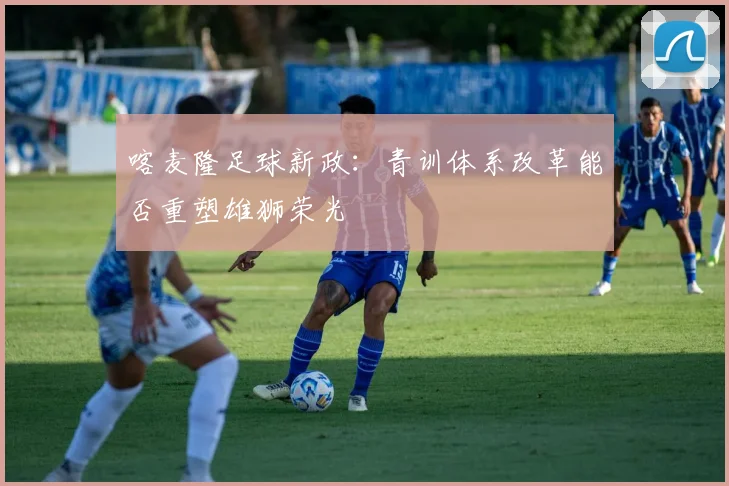 喀麦隆足球新政：青训体系改革能否重塑雄狮荣光