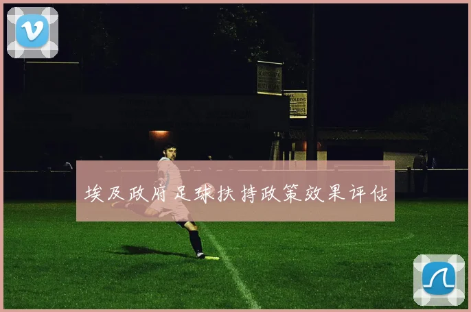 埃及政府足球扶持政策效果评估