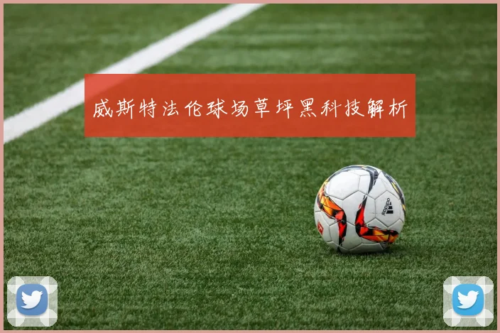 威斯特法伦球场草坪黑科技解析